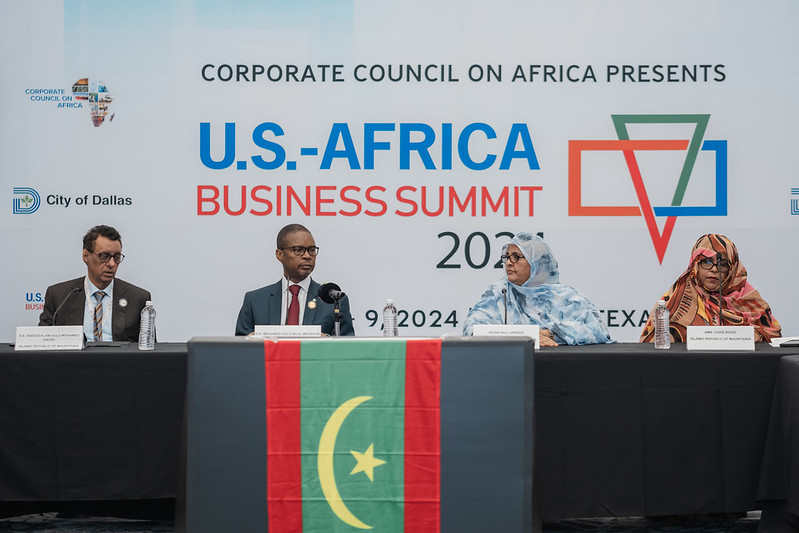 2045 U.S. - Africa Business Summit