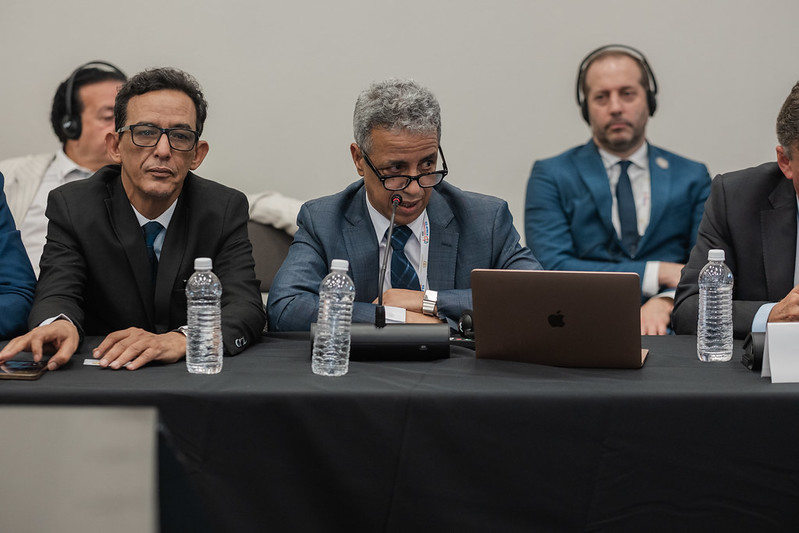 2045 U.S. - Africa Business Summit