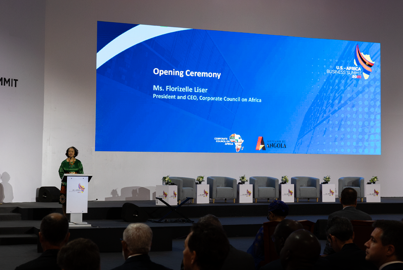 2025 U.S. - Africa Business Summit